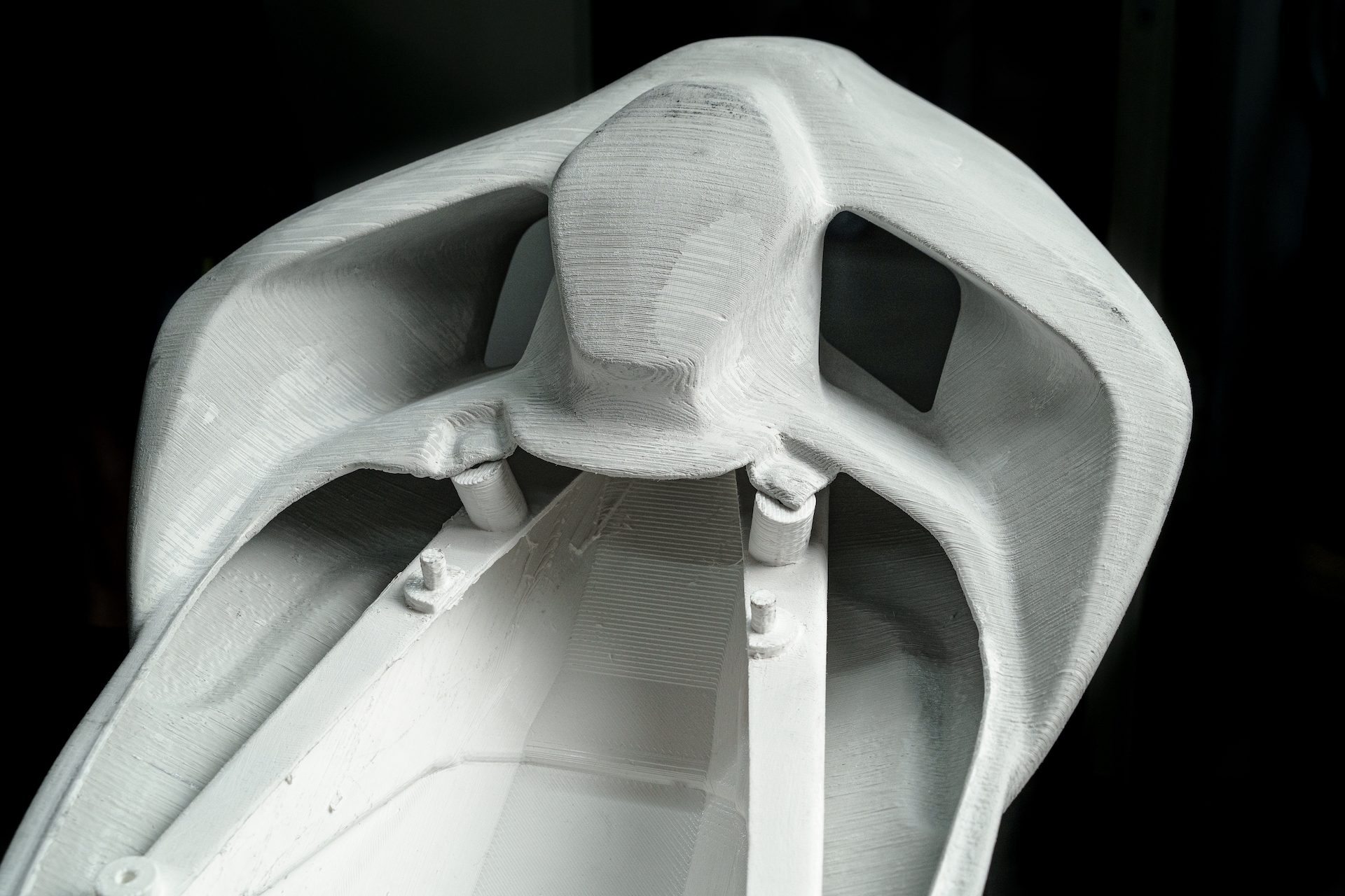 Design gedrucktes Ducati Heck - Carbon Sigl